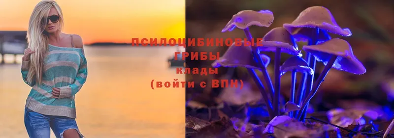 Галлюциногенные грибы Magic Shrooms  сайты даркнета как зайти  Кукмор 